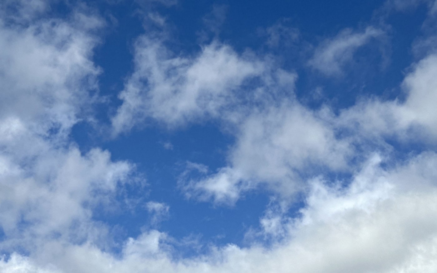 a blue sky seen through a spread of small, thin, white clouds