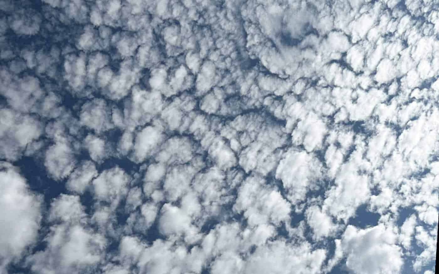 A spread of altocumulus cloudlets across a blue sky